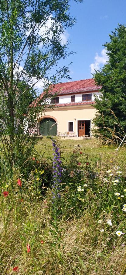 Ferienhof-Kuehn Hochkirch Экстерьер фото