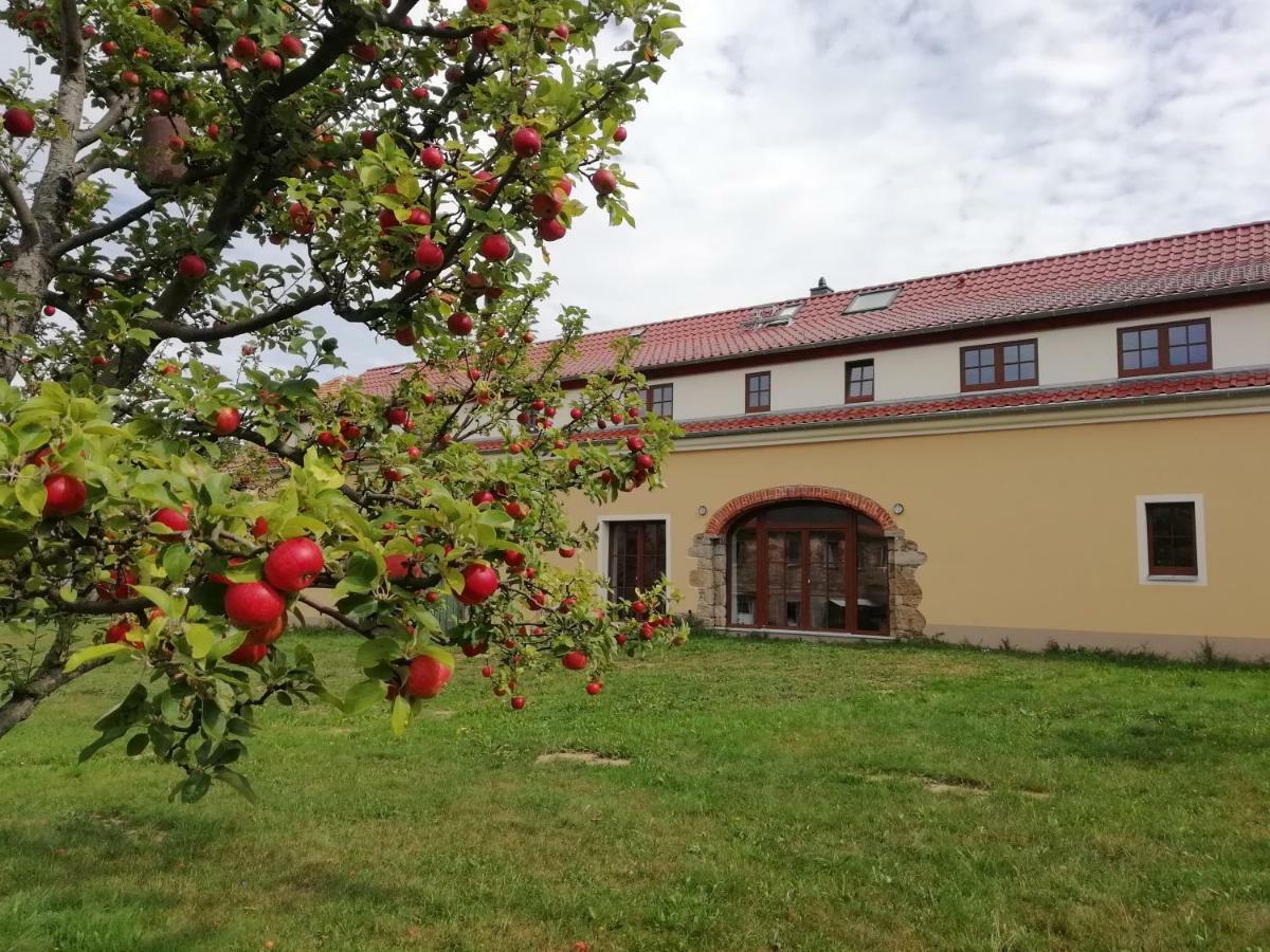 Ferienhof-Kuehn Hochkirch Экстерьер фото